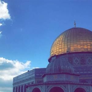 Meet your Posher, Amna